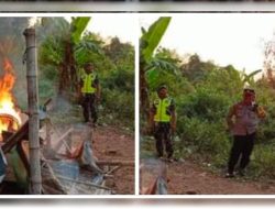 Arena Perjudian 303 Sabung Ayam Mojokerto di Obrak Abrik Petugas Gabungan