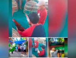 Sabung Ayam di Desa Karangrejo Kecamatan Gempol Kabupaten Pasuruan Tak Tersentuh Hukum