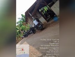 Aktifitas Perjudian 303 Sambung Ayam dan Dadu Desa Watulimo Wilayah Hukum Polres Trenggalek, Polda Jatim Omset Ratusan Juta