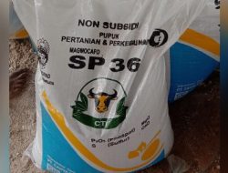 Ketua Umum LSM Gmicak Somasi Sarang Mafia Produksi Pupuk dugaan Ilegal di Wadeng, Kecamatan Sidayu Kabupaten Gresik