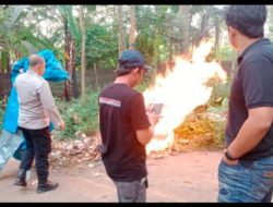 Belum Lama Judi Sabung Ayam Cokro, Kecamatan Pakis, Kabupaten Malang dibakar Polisi, Kini Aktifitas Lagi