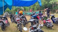 Polisi Gerebek Judi Sabung Ayam di Pangkep, 6 Orang Ditangkap- 16 Motor Disita