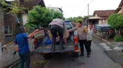 Dianggap Meresahkan masyarakat, Arena Judi Sabung Ayam di Gerebek Polres Nganjuk