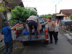 Gerebek Arena Judi Sabung Ayam Polres Nganjuk Amankan 3 Alat bukti Ayam Bangkok