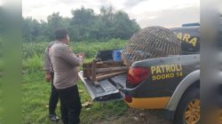 Polsek Sooko, Mojokerto Cek Lokasi Diduga Tempat Judi Sabung Ayam Berdasarkan Laporan Masyarakat