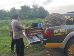 Polsek Sooko, Mojokerto Cek Lokasi Diduga Tempat Judi Sabung Ayam Berdasarkan Laporan Masyarakat