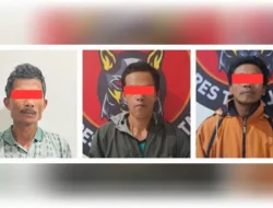 Polres Toraja Utara berhasil mengamankan 3 ekor ayam, 1 ekor ayam