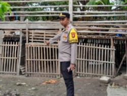 Polsek Blanakan, Polres Subang Gerebek Markas Judi Sabung ayam