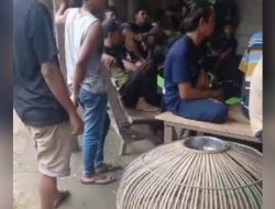 Kapolda Sumut diminta Tegas “Judi Sabung Ayam di Simpang Lima Desa Lasara Sowu Kecamatan Gunungsitoli Utara Marak