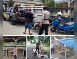 Markas Judi Sabung ayam di Gerebek Polsek Blanakan, Polres Subang” Pelaku Kocar-kacir melarikan diiri