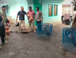 Kocar-kacir saat Polisi Gerebek Lokasi Judi Sabung ayam