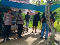 Markas judi Sabung ayam di Obrak-abrik Polisi