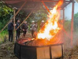 Usai Viral di Media Masa Sabung ayam di Kedungpring Lamongan di tindak tegas APH