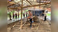 Resahkan Masyarakat, Markas Judi 303 Sabung Ayam di Kutorejo, Kabupaten Mojokerto Dibongkar Petugas Kepolisian.