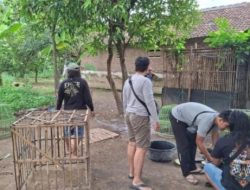 Sabung Ayam Dusun Sumurputat, Desa Katerban, Kecamatan Baron di obrak abrik Polisi
