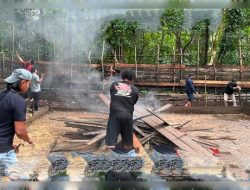 Semitau Hilir, Kab. Kapuas Hulu, Saksi bisu Pembongkaran Sabung ayam