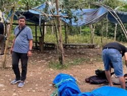 Polisi Gerebek Penggerebekan sabung ayam di Tammona, Kecamatan Kindang tidak membuahkan Hasil.