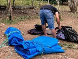 Polisi Gagal Tangkap Pelaku Perjudian Sabung Ayam