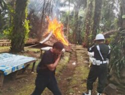 TNI – Polri Bumi Hanguskan Arena Sabung Ayam