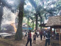 Sabung Ayam di Dusun 7, Desa Namo Bintang, Kec. Pancur Batu, Deliserdang di Bakar Petugas
