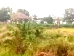 Bekas Tambang Galian di Desa Klampokan, Kecamatan Besuk, Probolinggo diduga belum di Reklamasi