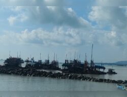 Kawasan Pantai Tongaci Terancam Abrasi, Ponton Tambang Liar Marak Beroperasi