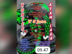 Perjudian Sabung Ayam di Desa Mentoro, Kecamatan Pacitan, Kabupaten Pacitan Tak Tersentuh Hukum
