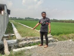 Prroyek APBD / APBN tahun 2024 Desa Watugaluh, Kecamatan Diwek diduga Keras Mangkrak