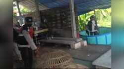 Markas Sabung ayam Dusun Ngaglik, Desa Sedenganmijen, Kecamatan Krian dibakar