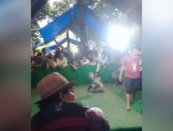 Ketua Umum LSM Gmicak Minta Polres Situbondo Tindak Tegas Perjudian Sabung Ayam