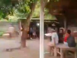 Ketua LSM Gmicak Minta APH Polsek Ngronggot Sikapi Markas Sabung Ayam Milik Saudara Rony
