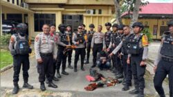 Satgas Ops Pekat Anoa 2025 Gerebek Sabung Ayam di Kemaraya, Amankan Pelaku dan Barang Bukti