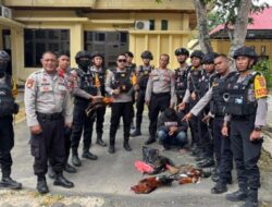 Satgas Ops Pekat Anoa 2025 Gerebek Sabung Ayam di Kemaraya, Amankan Pelaku dan Barang Bukti