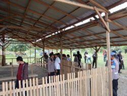 Polresta Palu Gerebek Sabung ayam di Kelurahan Petobo, Kecamatan Palu Selatan