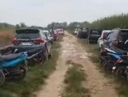 Aktivitas Judi Sabung Ayam di Lamongan Tak Tersentuh Hukum