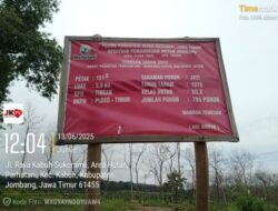 Hutan Produktif diduga jadi lahan basah oknum Petugas Perhutani KPH Jombang