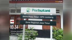 Lahan Perhutani Ploso – Jombang diduga Jadi Ajang Sewa Menyewa Tebu di Ungkap LSM Gmicak