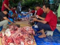 Takmir Masjid Asy Syifa RSUD dr. Iskak Tulungagung kembali menyelenggarakan penyembelihan hewan kurban.