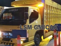 Mobil Truck Cool Diesel Nopol BL. 8888.DZ Muatan Minyak Mentah Ilegal, Asal Gampong Alur Canang di Soal LSM Gmicak