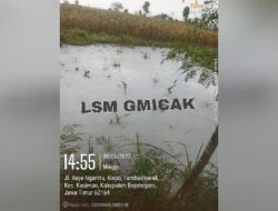 Limbah Pengeboran Minyak Mentah Ilegal Di Bojonegoro diduga Mencemari Lahan Pertanian Warga