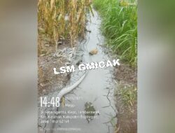 LSM Gmicak Minta APH Menindaklanjuti Limbah Pengeboran Minyak Mentah Ilegal di Dukuh Klepo, Desa Tambakmerak, Kecamatan Kasiman, Bojonegoro