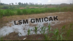 Limbah Pengeboran Minyak Mentah Ilegal Di Dukuh Klepo, Desa Tambakmerak, Kecamatan Kasiman, Bojonegoro di Soal LSM Gmicak