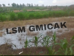Limbah Pengeboran Minyak Mentah Ilegal Di Dukuh Klepo, Desa Tambakmerak, Kecamatan Kasiman, Bojonegoro di Soal LSM Gmicak