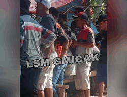 2 Markas Perjudian 303 Sabung Ayam di Wilayah Hukum Polres Jember APH Kemana?