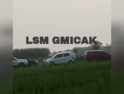 Perjudian Sabung Ayam di Kedungpring Lamongan diduga ada Beking TNI AD, Tak Tersentuh Hukum