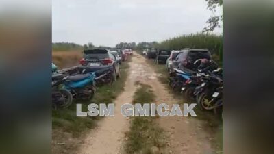 Perjudian Sabung Ayam di Desa Jetis, Kecamatan Kedungpring : Polres Lamongan – Polda Jatim dan Kodam V Brawijaya di Minta Tegas
