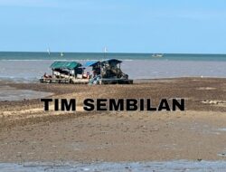 Polres Bangka Barat Sikat Habis Kejahatan Tambang timah inkonvensional (TI) ilegal Di Teluk Inggris
