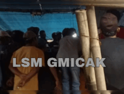 2 Lokasi Perjudian Sabung Ayam di Kabupaten Malang Nekat Beraktivitas, APH Kemana?