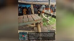 2 Markas Perjudian 303 Sabung Ayam di Wilayah Hukum Polres Malang – Polda Jatim Kebal Hukum