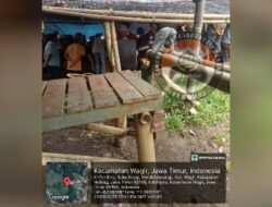 2 Markas Perjudian 303 Sabung Ayam di Wilayah Hukum Polres Malang – Polda Jatim Kebal Hukum